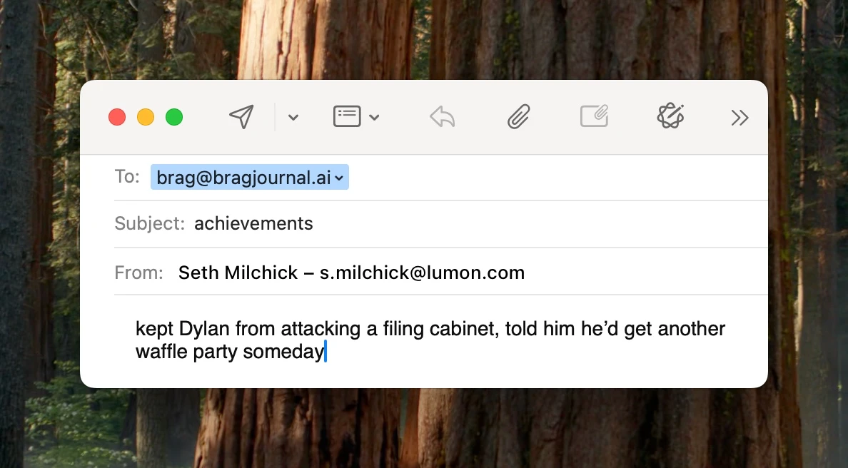 Email message used as achievement evidence in BragJournal